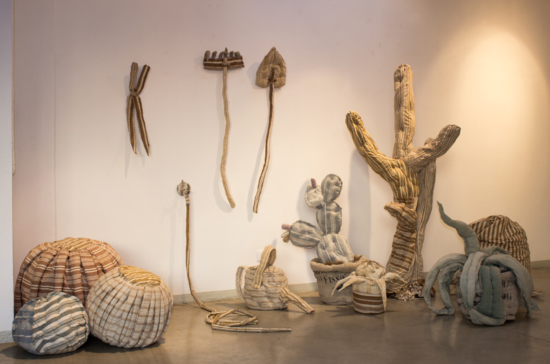 Cactus Lifestyle | Silvia Manazza